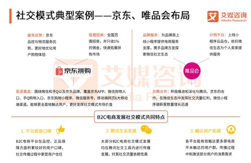 艾媒报告 2018中国b2c电商市场监测报告